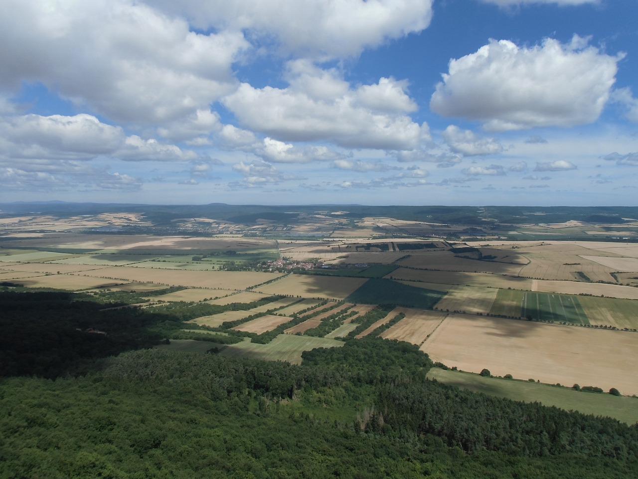 什么是硬质景观