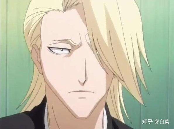 5,侘助—变重吧