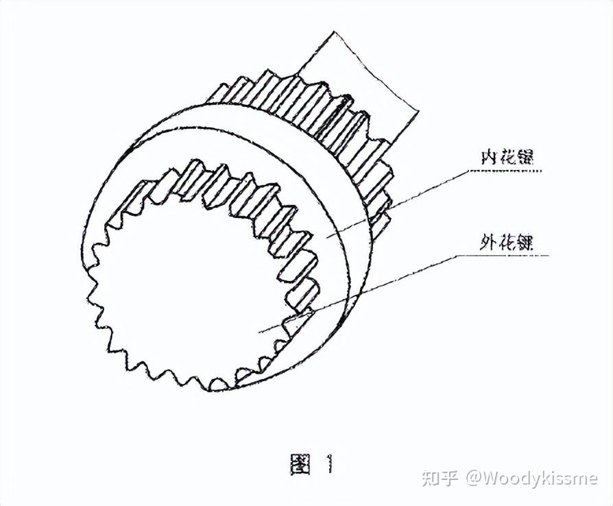 花键联接 spline joint