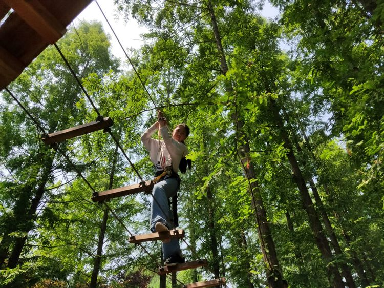 考核评价体系,把青少年进森林研学活动作为中小学生研学旅行重要内容
