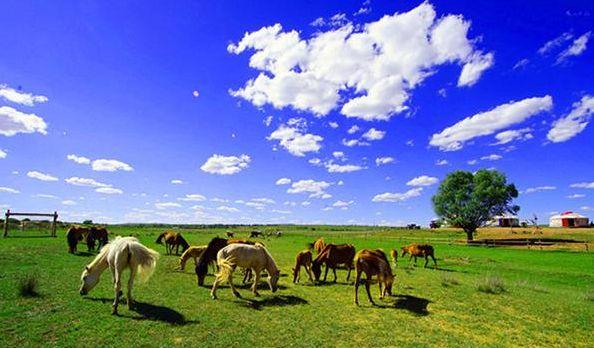 内蒙古景点推荐苏泊罕大草原旅游景区低音号免费语音导游