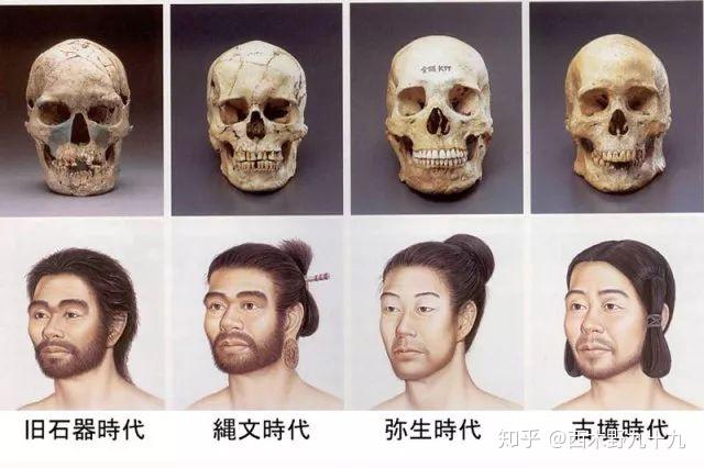 现代日本人无论文化或者身体,都带有北方,南方双系影响,就连日语,语法