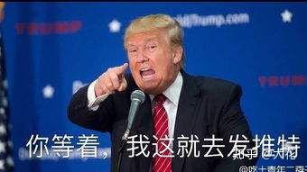 v2-84b0106ddde6b325aa0a71d7e6ff5614_b.jpg