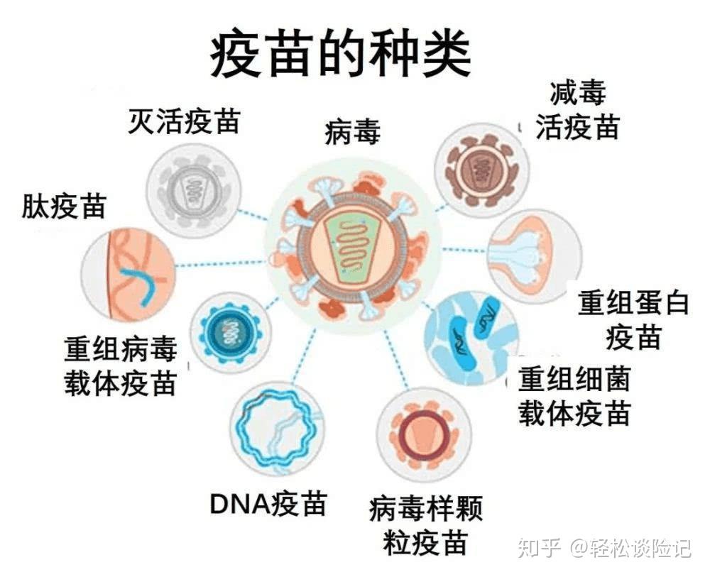 疫苗的種類是多種多樣的,在瞭解風險之前,先對現有新冠疫苗