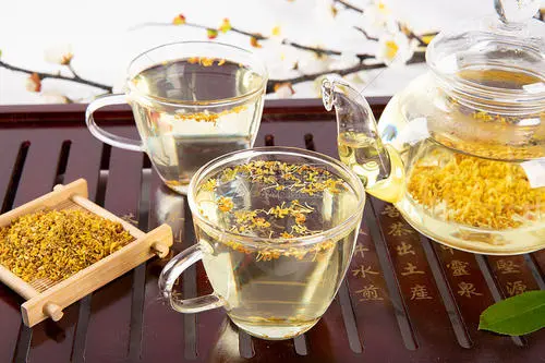 桂花茶的功效与作用及禁忌 桂花茶的冲泡方法 知乎