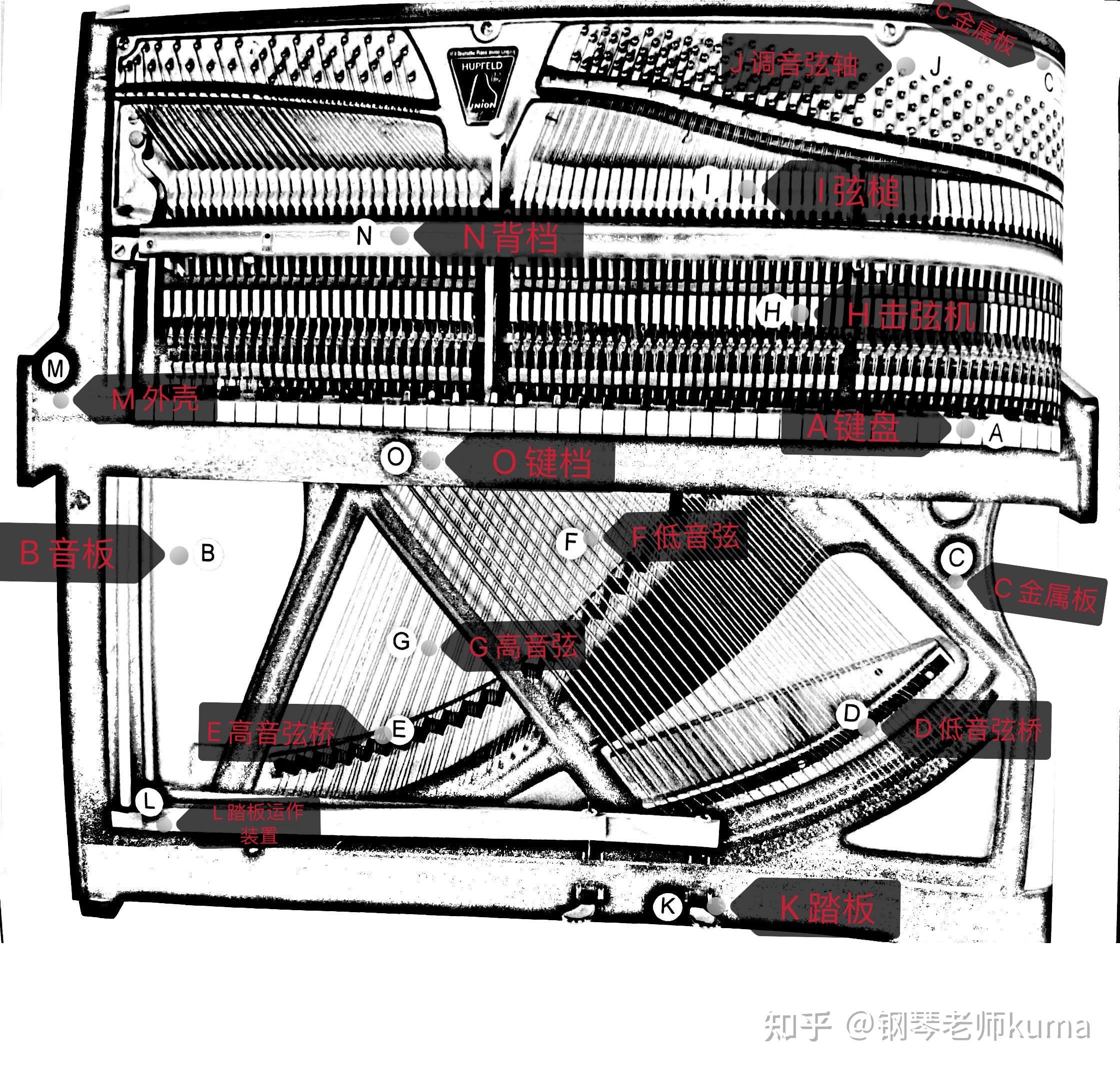 钢琴内部构造图解图片