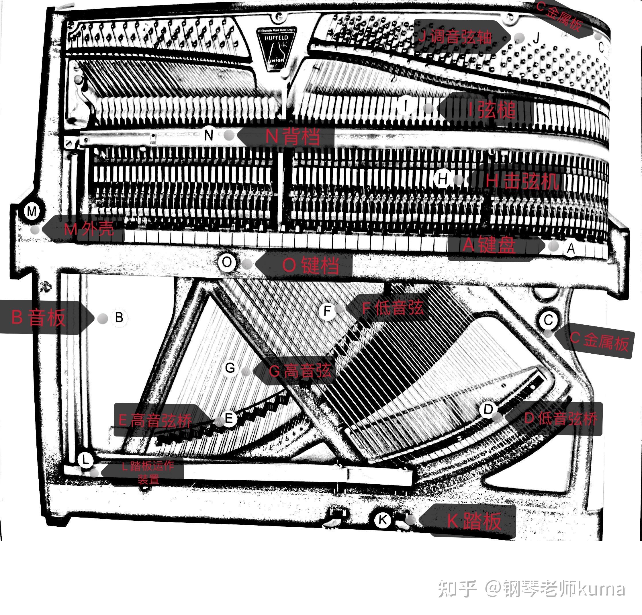可以解释一下钢琴的内部结构和原理吗? - 知乎