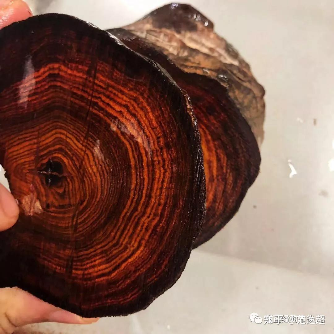 海南黄花梨高玩进阶(中)—纹理篇 - 知乎