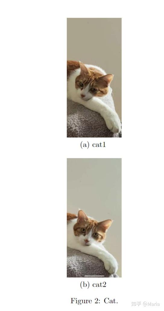 Overleaf latex 