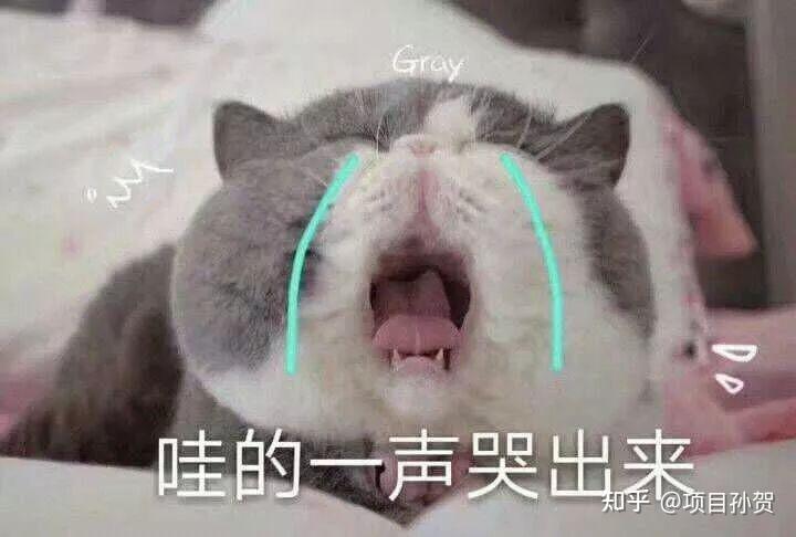 这些沙雕翻译，让我笑出了猪叫…… - 知乎