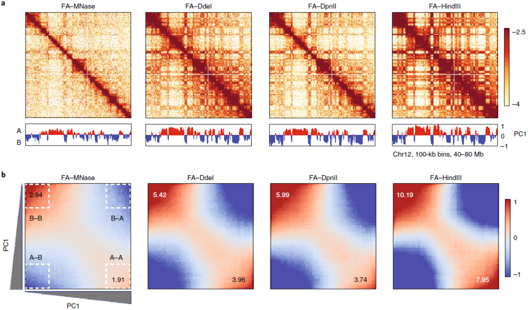 重磅升级丨HiC技术发明人Job Dekker发布高精度HiC 3.0技术 知乎