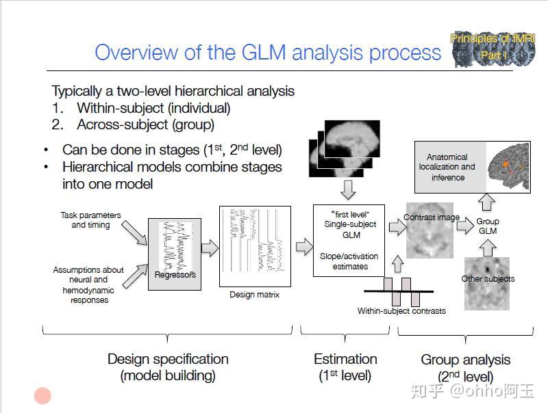 【fMRI】Module17 Details Of Building GLM Models 知乎