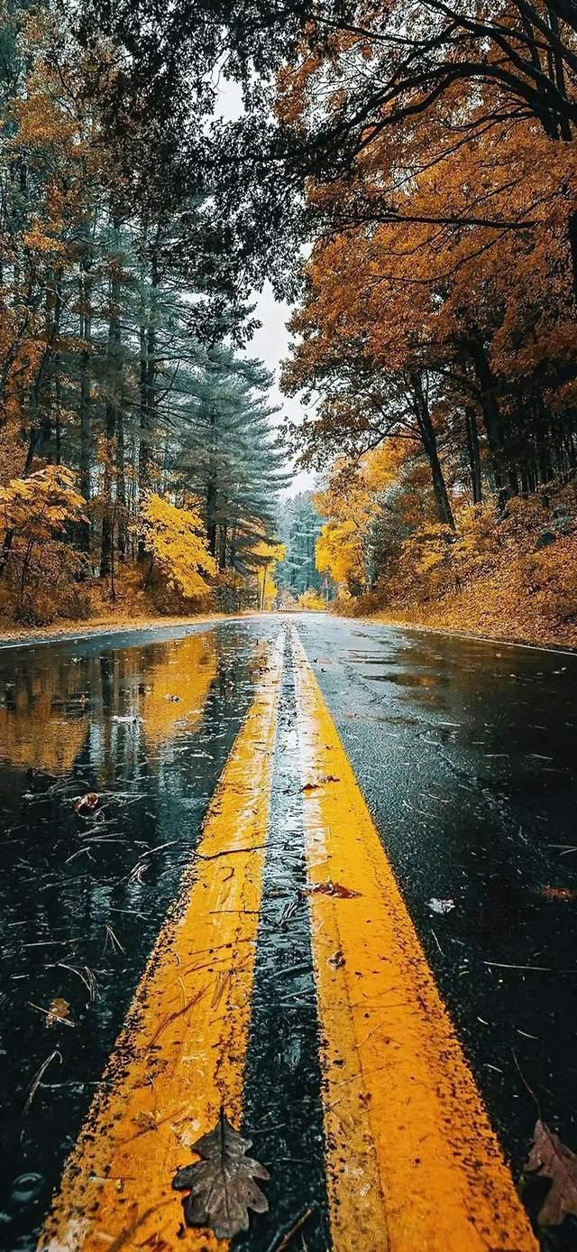 一组超好看的雨景壁纸