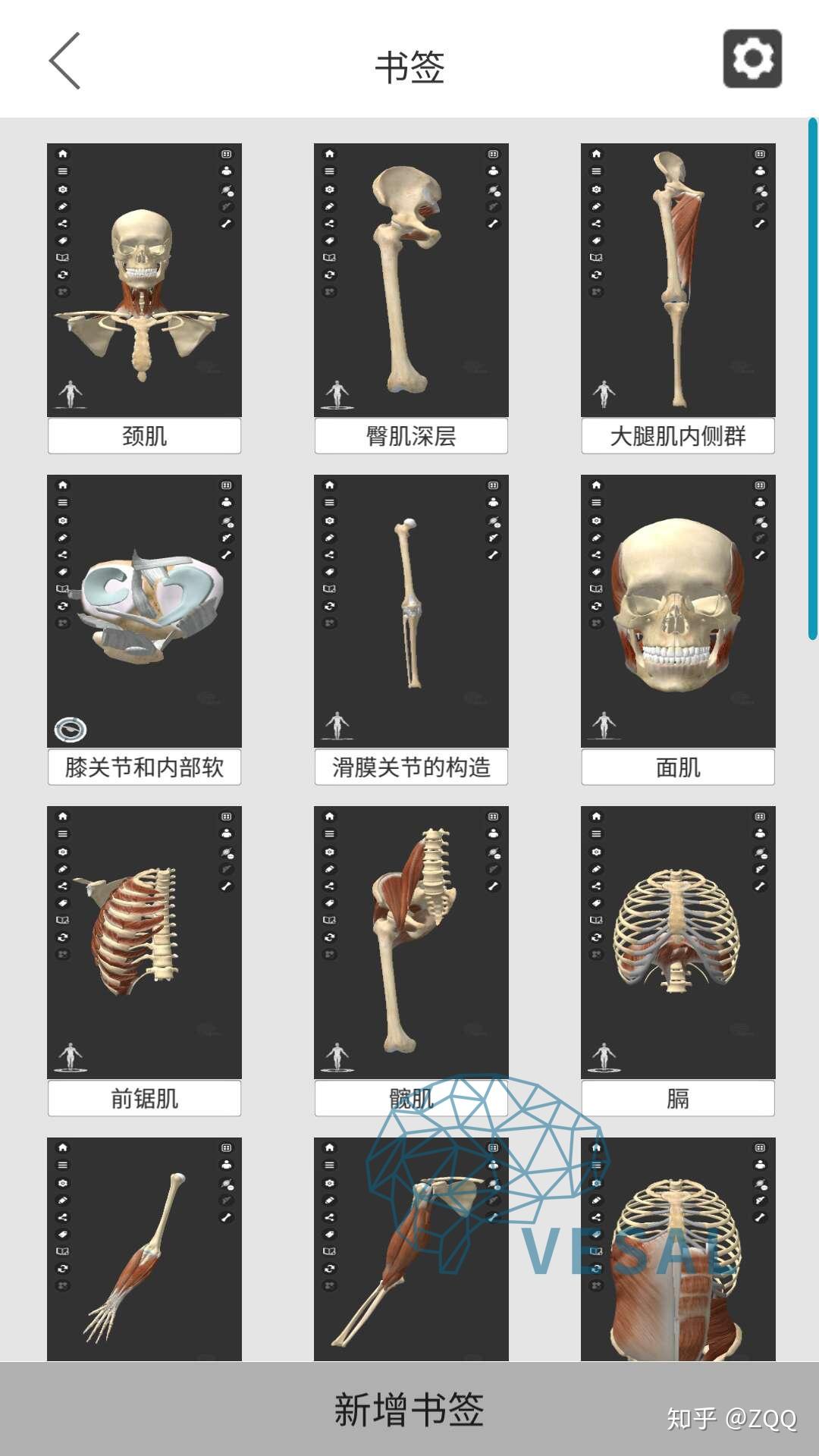 看解剖图,了解维萨里3d解剖 - 知乎