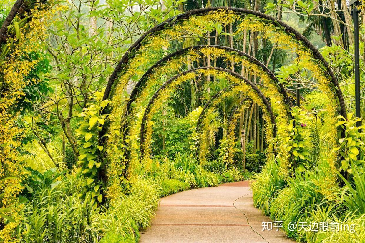 2023康提皇家植物园游玩攻略,园内有个漂亮的兰花园，里面...【去哪儿攻略】