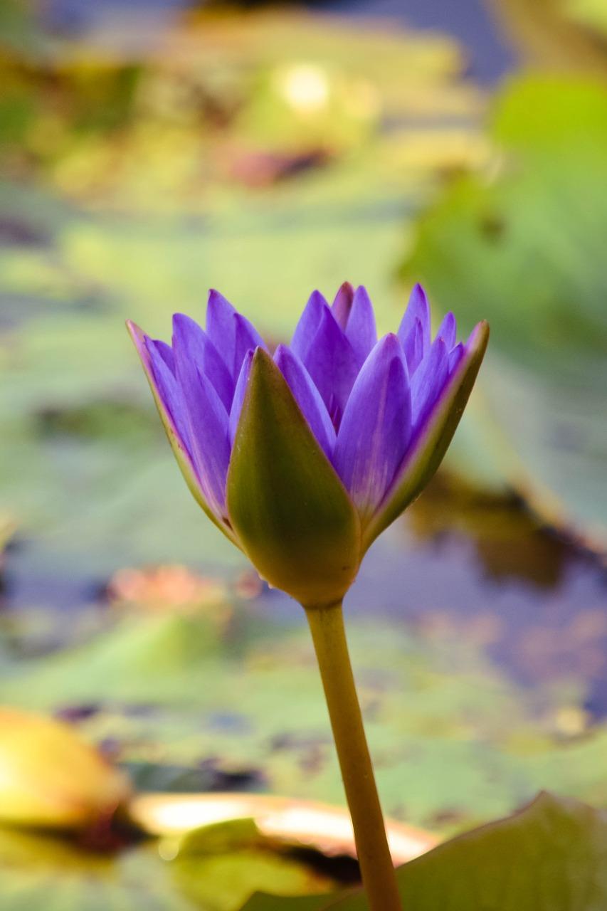 5. 价格性价比高