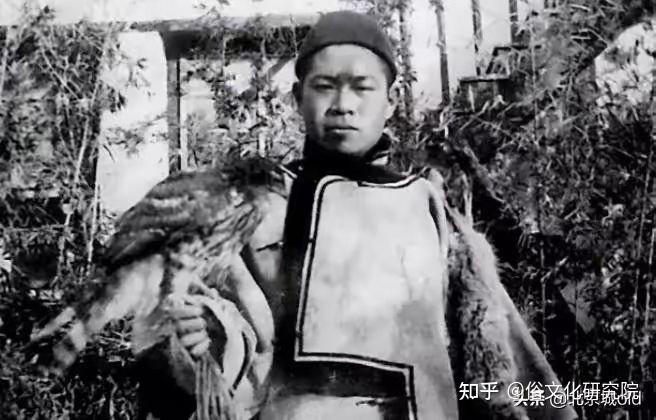 漫话旧京~玩鹰,你得会驯鹰 - 知乎