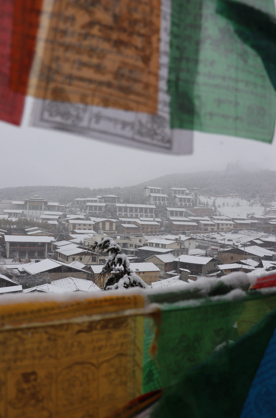 游人在雪景中拍照留念,纷纷扬扬地飘洒在世界的"香格里拉".