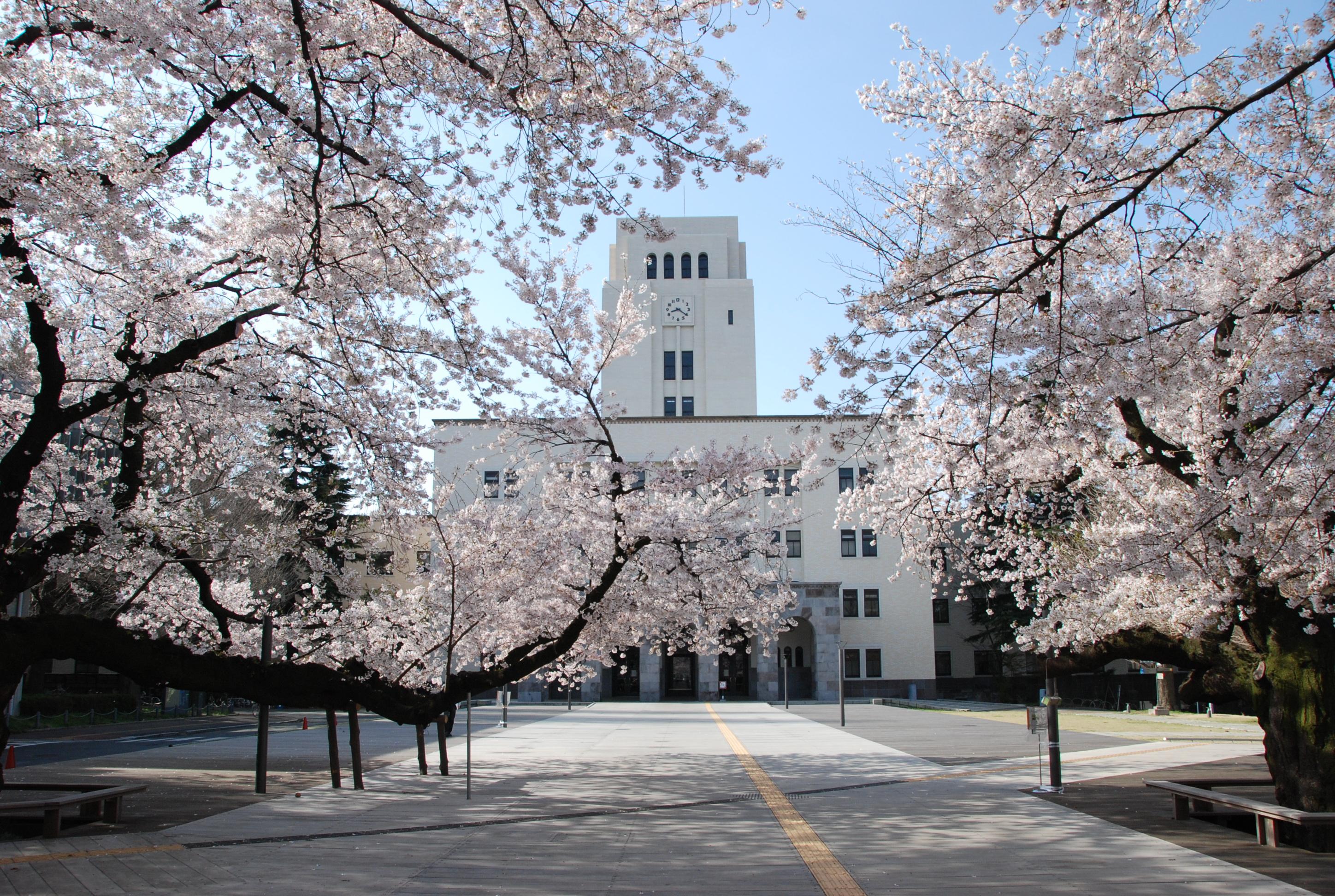 日本大学院建筑方向排名?