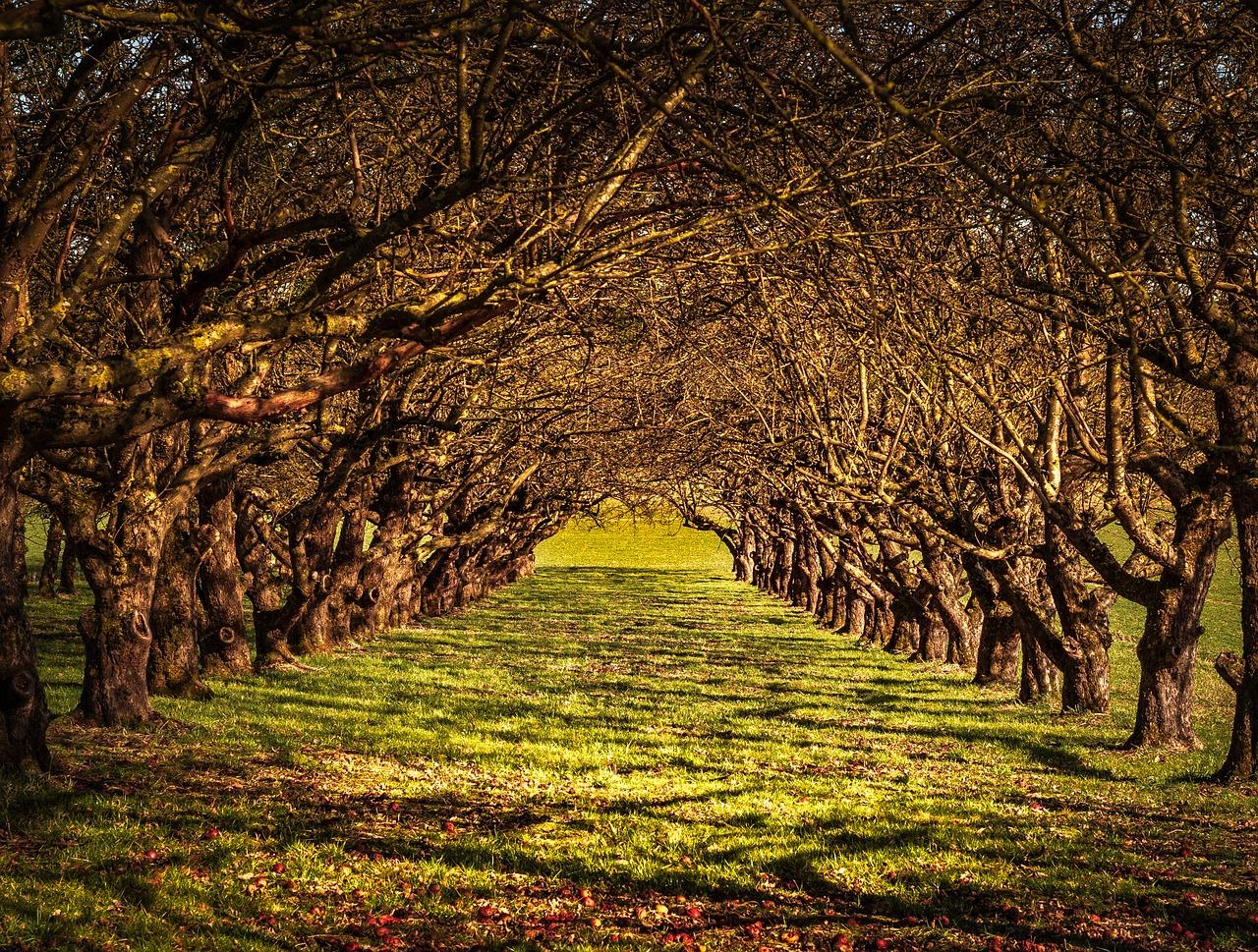 4. 茂盛路房价走势