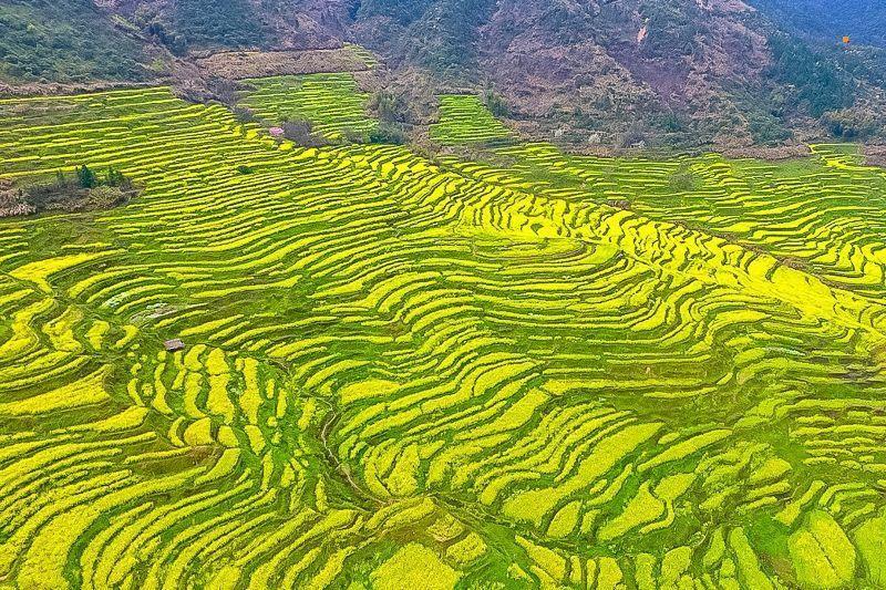 江西秋季热门旅游景点江岭梯田旅游攻略低音号免费语音导游