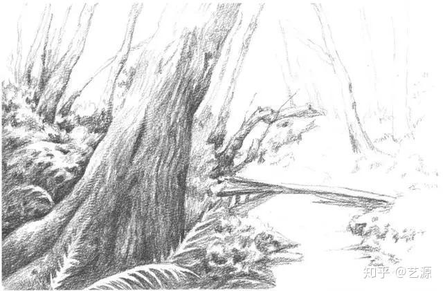 素描画图片大全简单些 v2-85329d750a6b92f41f2e6aa9a2e127fc_r.jpg