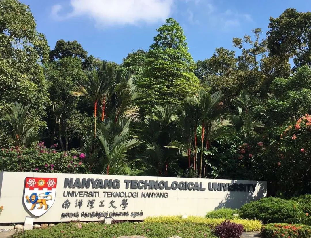 在南洋理工大学ntu读分析学是一种怎样的体验