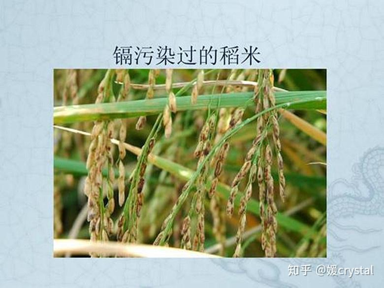 孩子腹泻呕吐腿麻骨头痛可能是镉中毒3点家长要注意