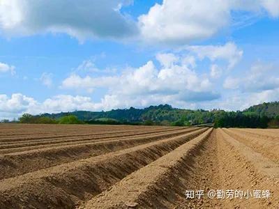 农业用地都可以经营什么项目? - 知乎
