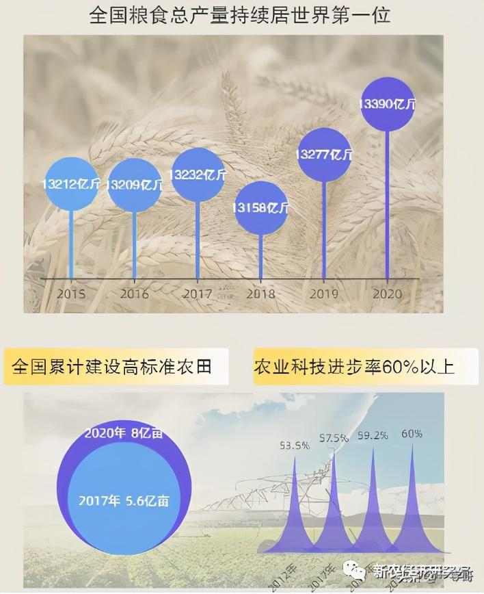 新农经济研究我国农业发展现状和趋势探讨