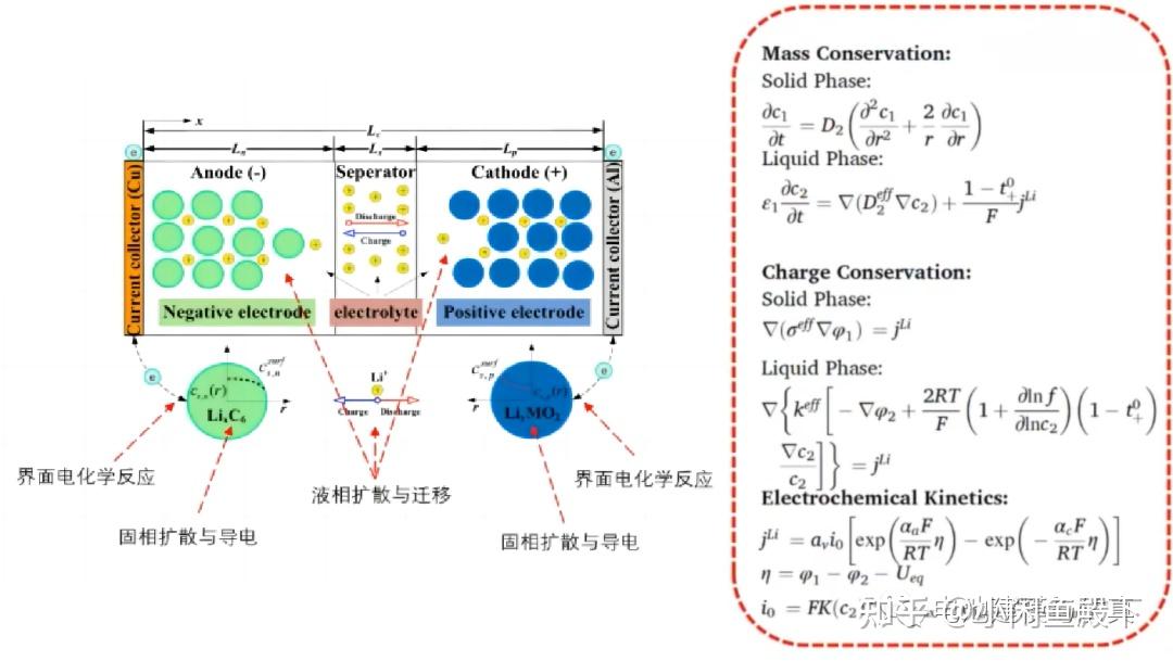 COMSOL锂电池仿真入门干货二纽曼模型 知乎