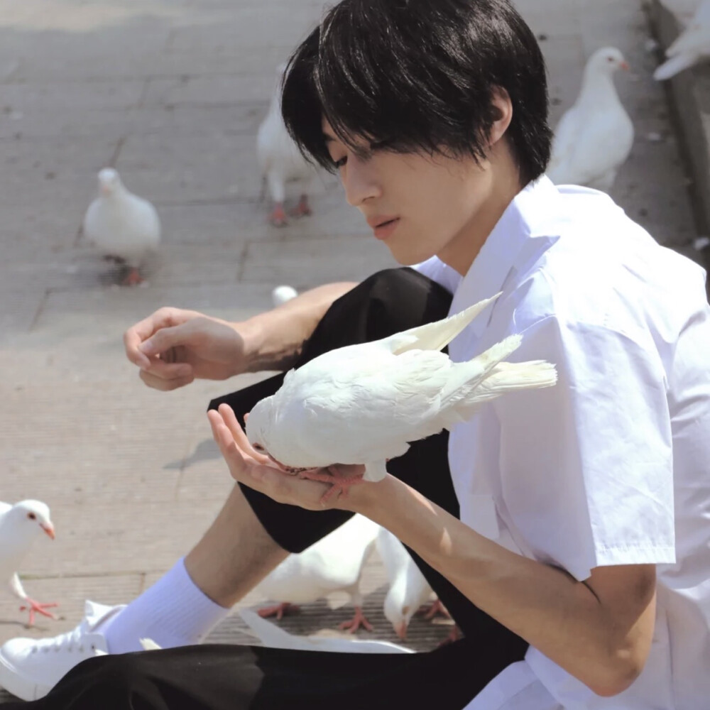 有哪些让女生一眼就心动的微信男头像