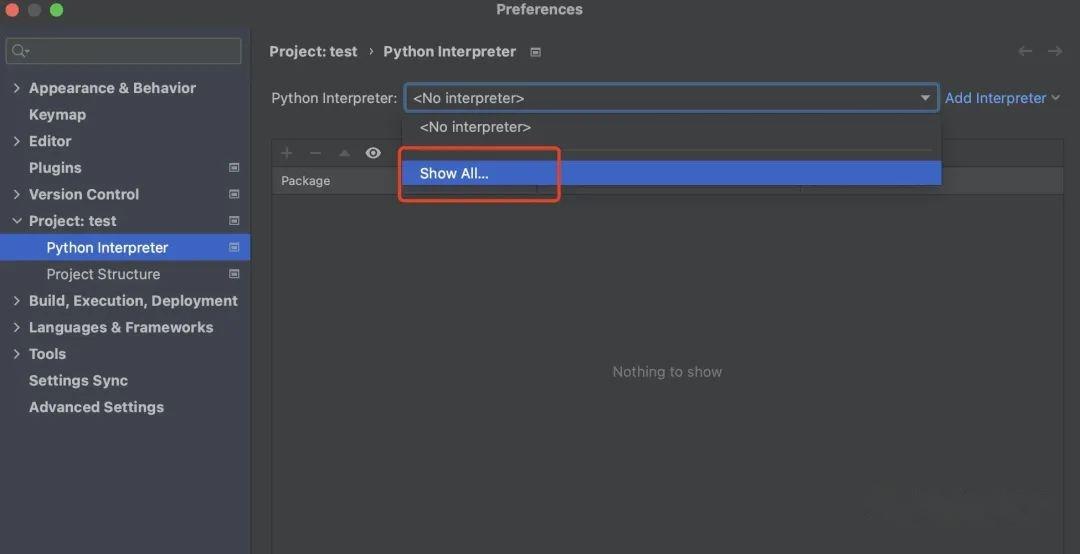 Pycharm python interpreter 