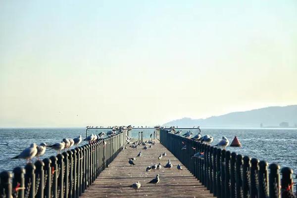 在昆明一个人一天去哪玩比较好?