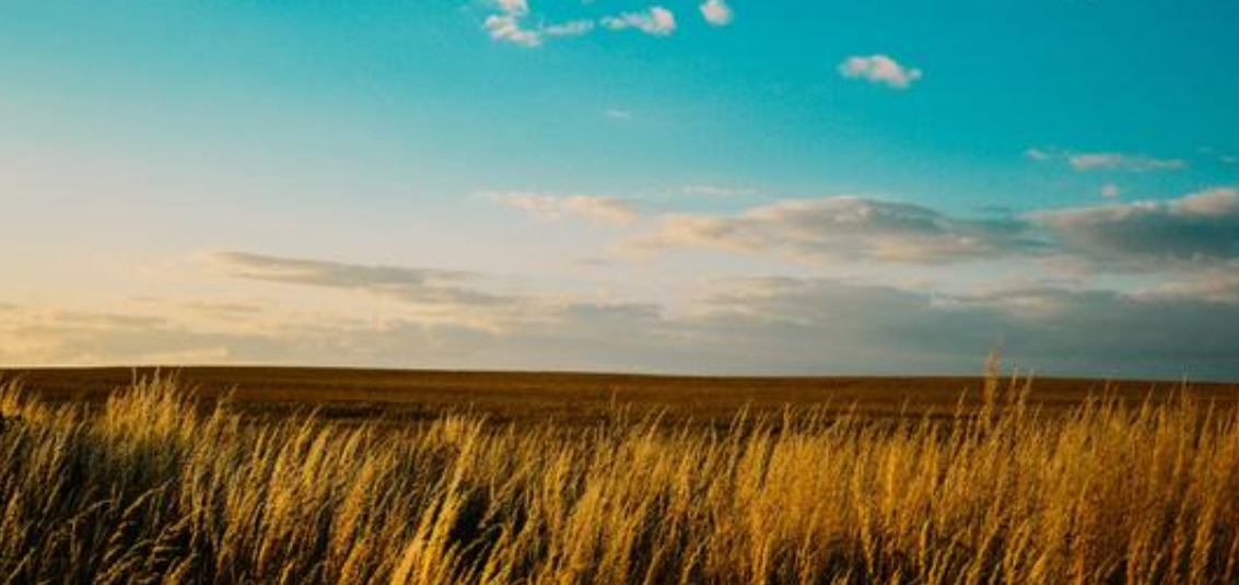 v2-85a118f61c5b2ae507d12543b0fed2d9_1440w.jpg?source=172ae18b