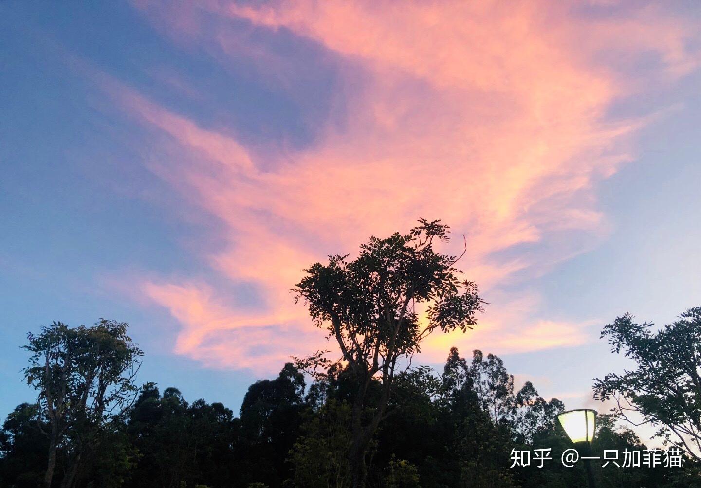 有哪些高质量的微信聊天背景图片?