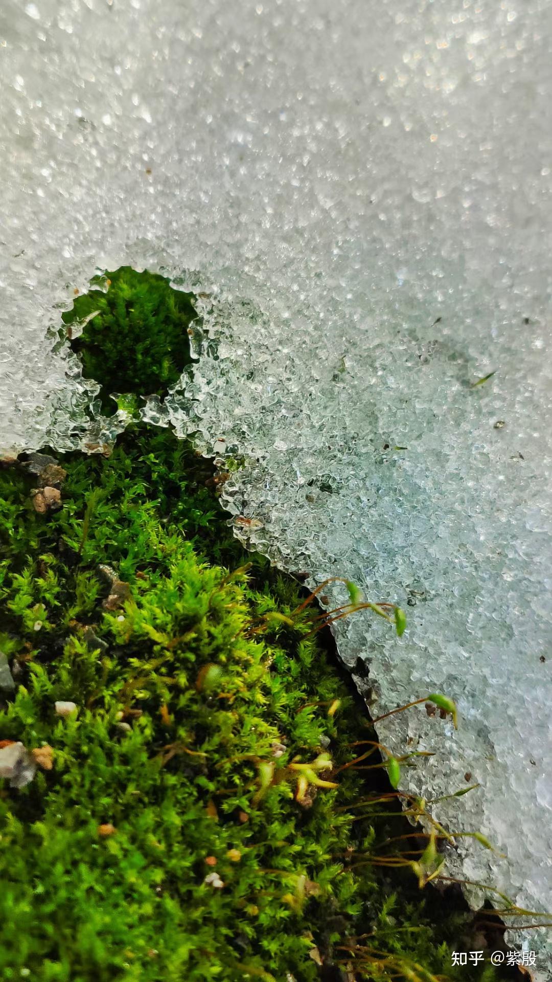 可以分享你印象深刻的一句话吗