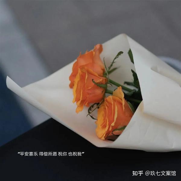 温柔干净的文案短句(很干净的温柔文案)