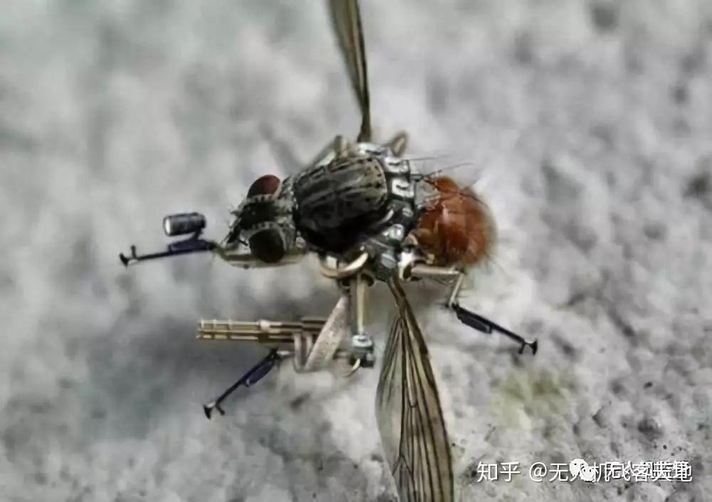 或许我们坐在家中或者办公室里面工作,稍不注意就会有昆虫无人机从