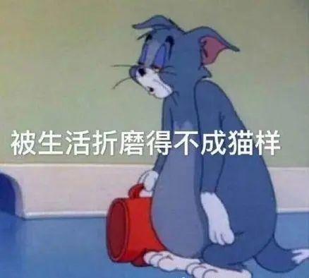 v2-85b6c930c55643d3308a53bae844c2b8_r.jpg