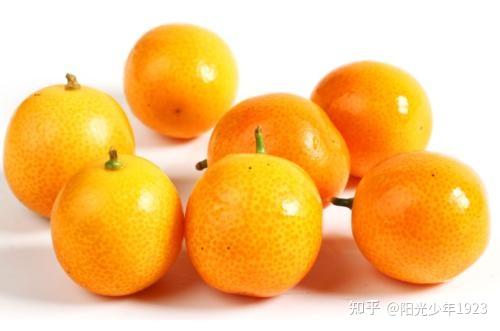 金桔的功效与作用 (金桔的功效与作用及营养价值)