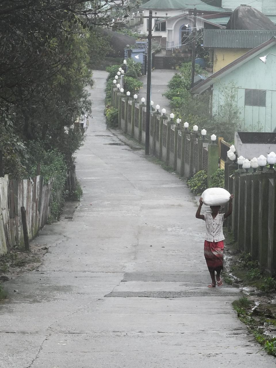 4. 缅甸胡桃木单价