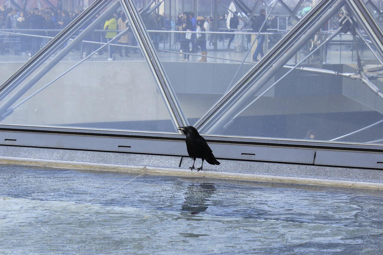 成都卢浮宫小区怎么样
