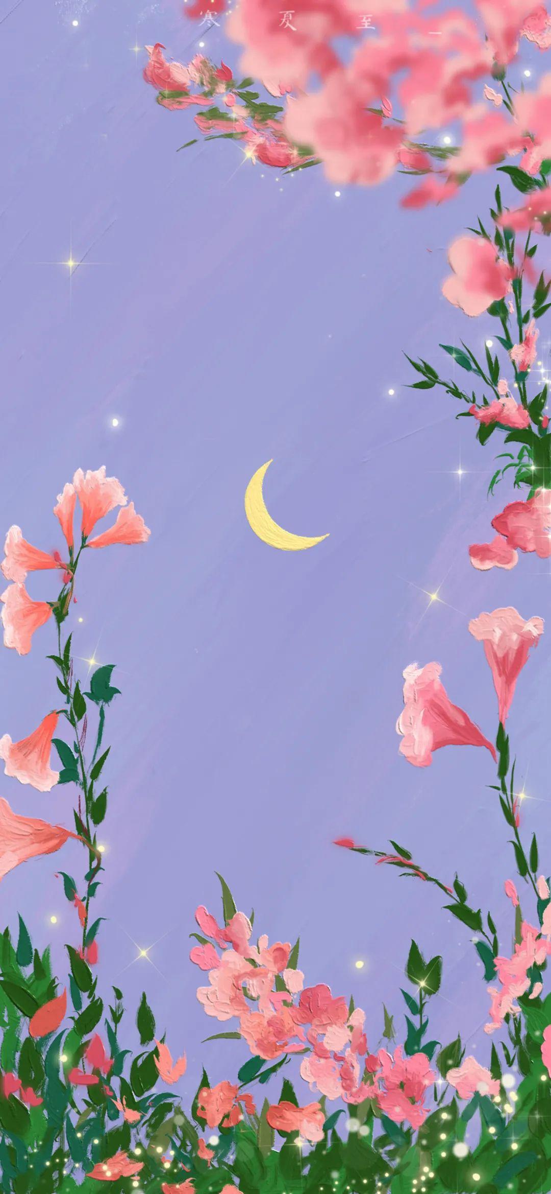 220张好看的超清壁纸