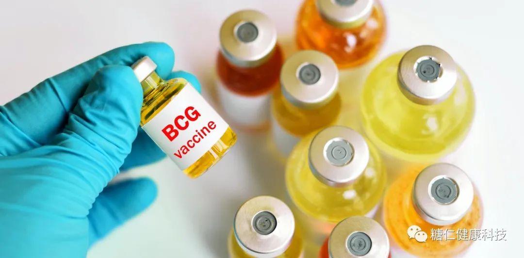 新研究重复bcg卡介苗疫苗接种治疗1型糖尿病