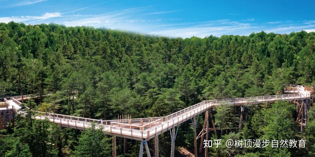 国庆想去树顶探险空中漫步来仙女山吧