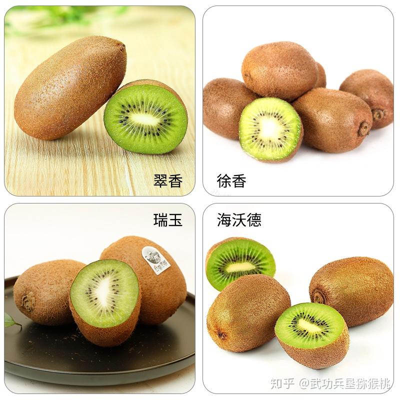 解密武功美味猕猴桃家族的四位明星级成员 - 知乎