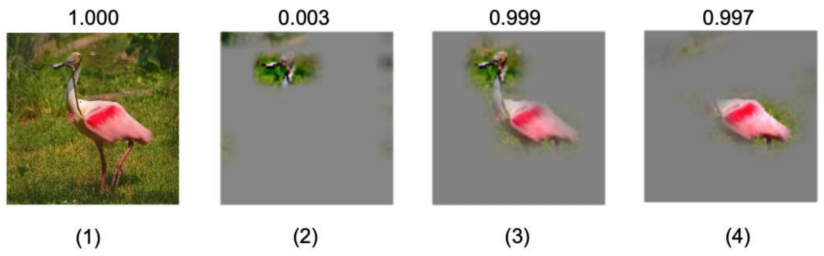 ScoreCAM ScoreWeighted Visual Explanations for Convolutional Neural Networks 知乎
