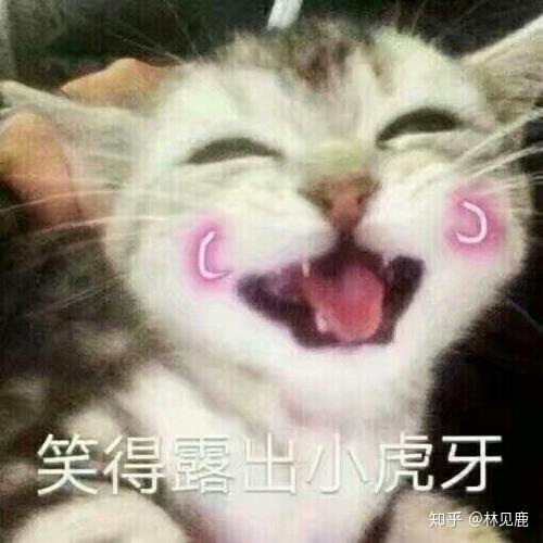 v2-85e1bcd7e3f8689da25885f073b92bd0_r.jpg