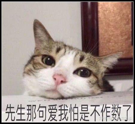 v2-85e2e9ec55c66e978faac2bdda162cd0_r.jpg